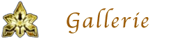 gallerie